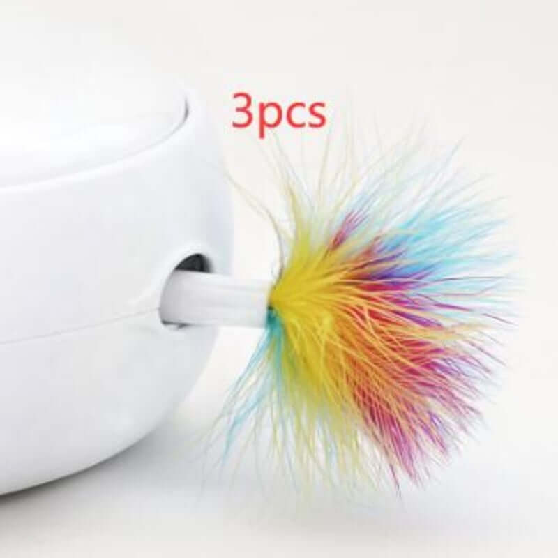 Electric Cat Toy - Feather accessories 3 pieces - Cat Toy