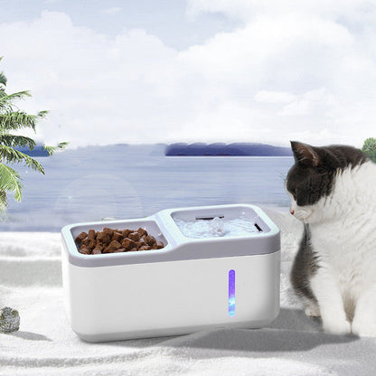 Intelligent Cat Automatic Water Fountain and Feeder - Cat Drinking Fountain