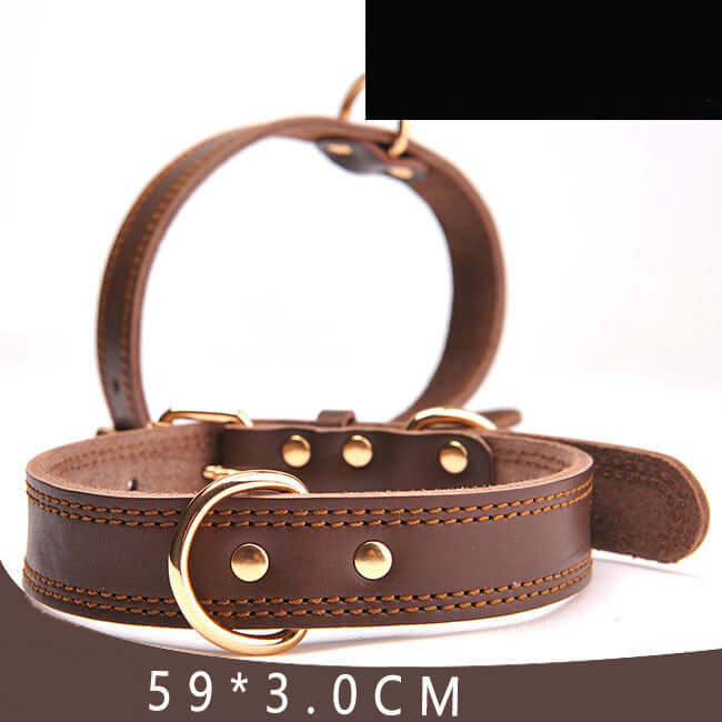 Leather Dog collar - Dog collar