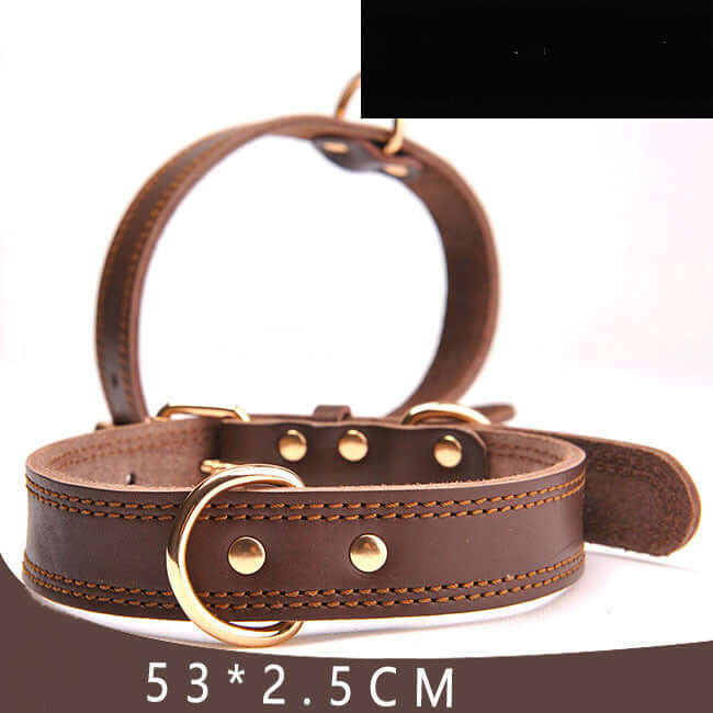 Leather Dog collar - Oil leather collar / L - Dog collar
