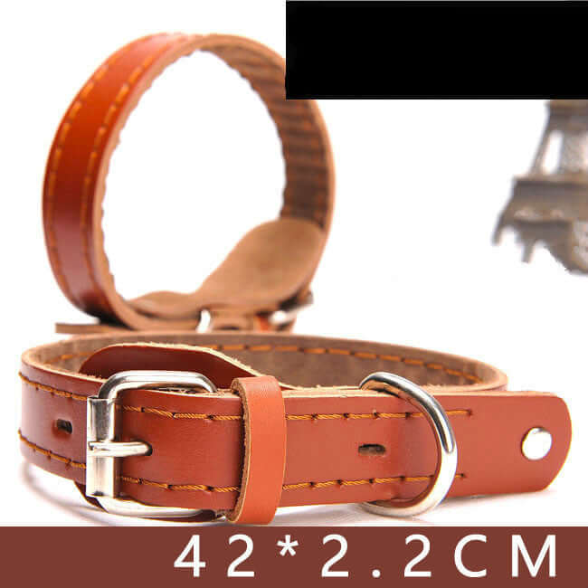 Leather Dog collar - Yellow cowhide / M - Dog collar