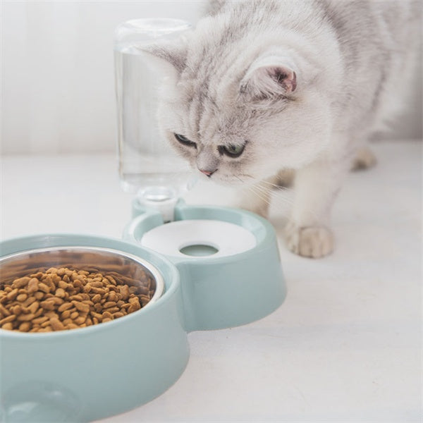 Pet bowl - Pet bowl