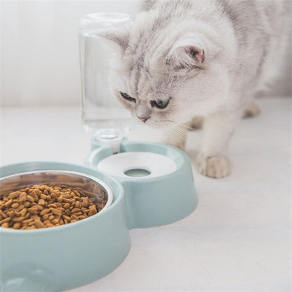 Pet bowl - Pet bowl