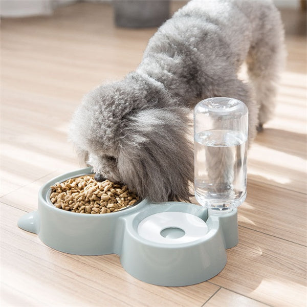 Pet bowl - Pet bowl