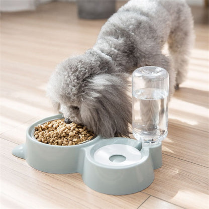 Pet bowl - Pet bowl