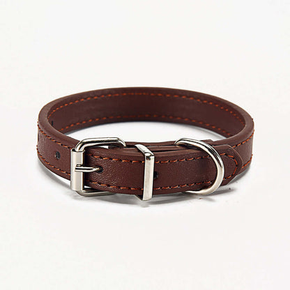 Pet Collar - Coffee / M 1.5*30 - Cat accessories