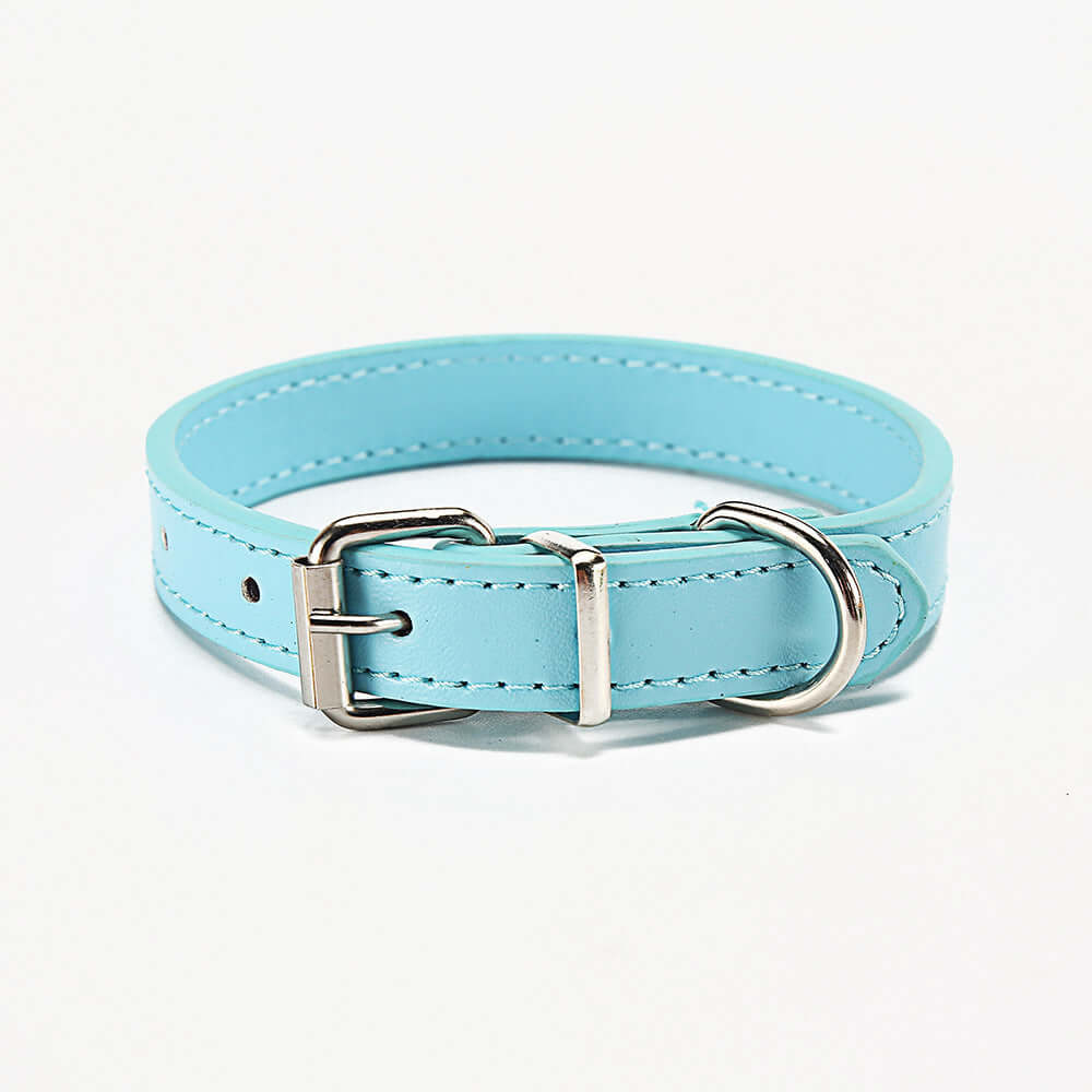 Pet Collar - Sky blue / M 1.5*30 - Cat accessories