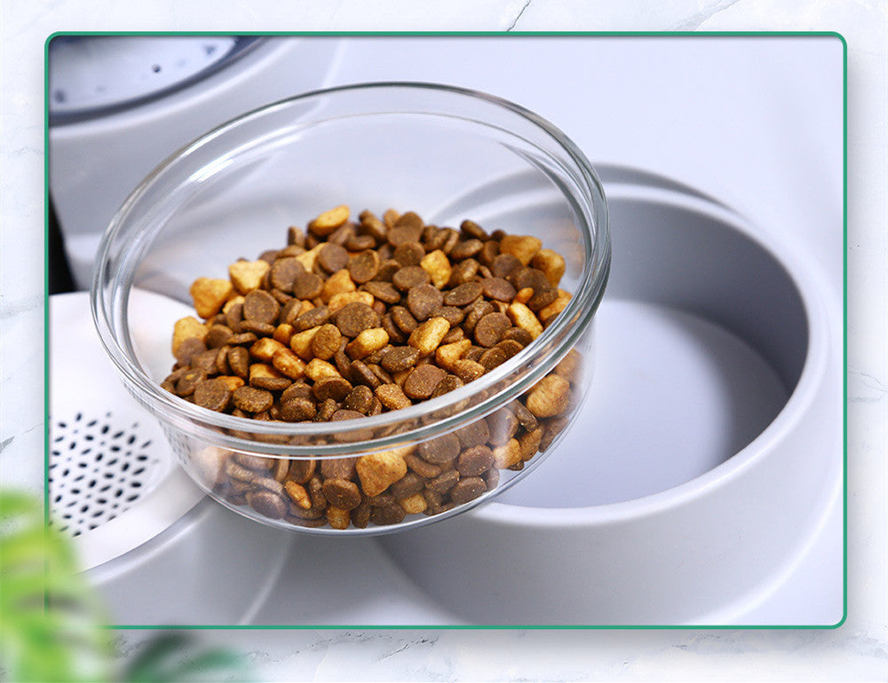 Pet Feeder with Water Bowl - Pet drinking