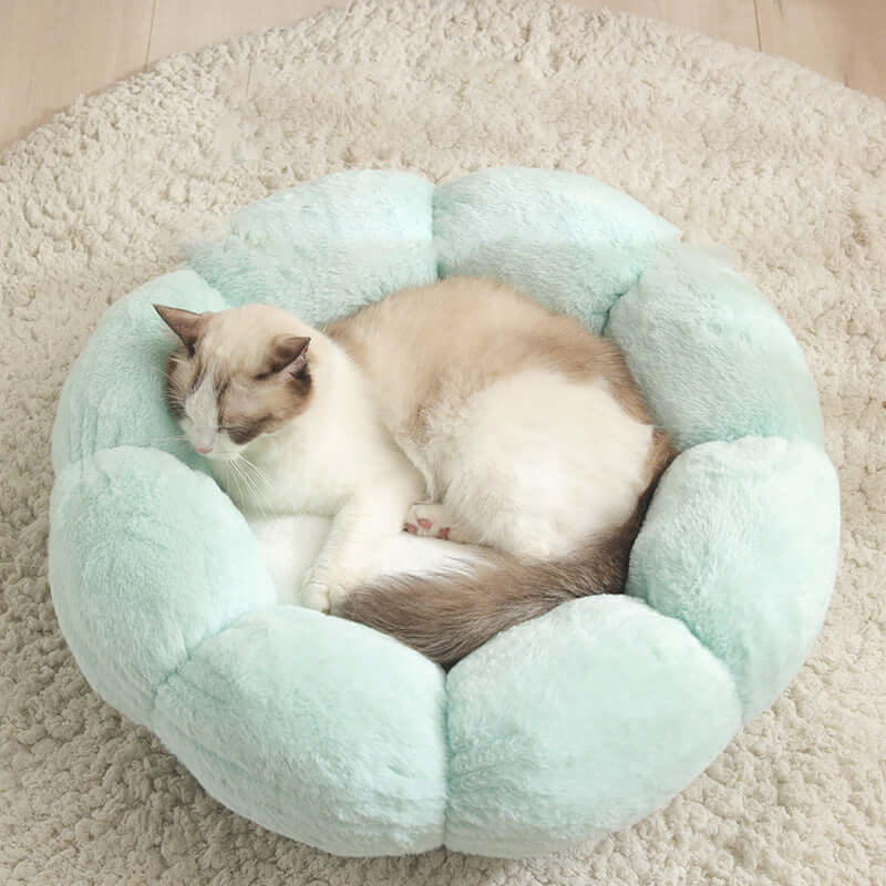 Plush Velvet Cat Kennel Bed - Cat bed