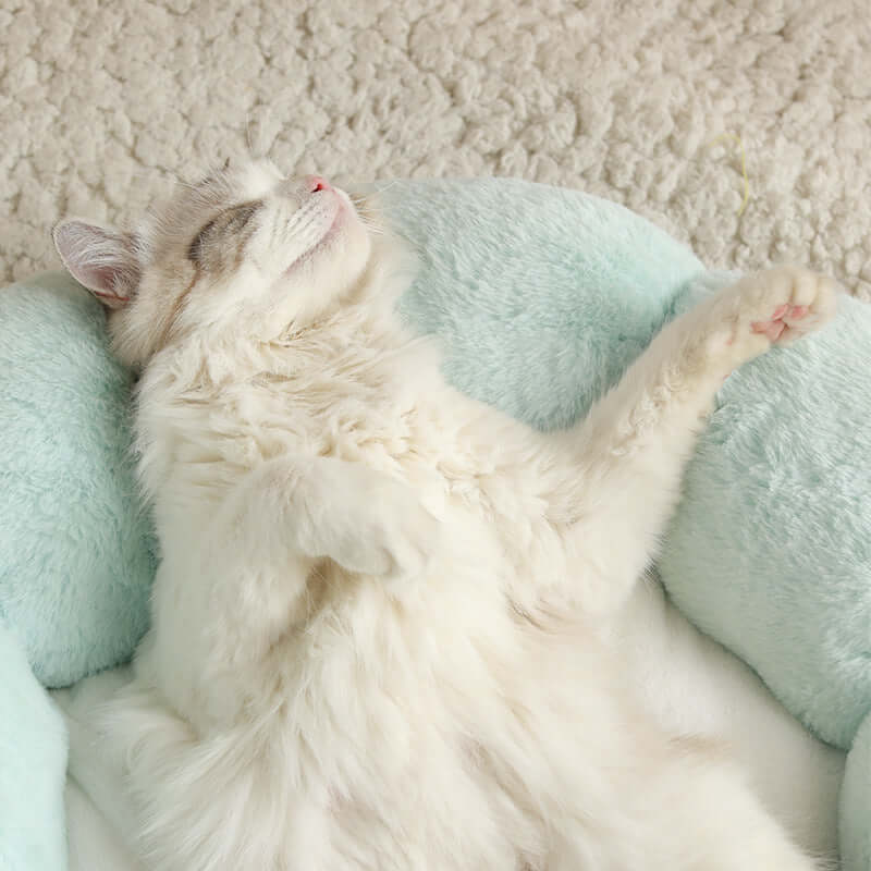 Plush Velvet Cat Kennel Bed - Cat bed