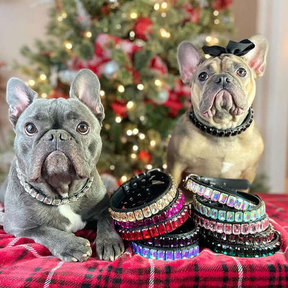 PU Dog Collar - Dog collar