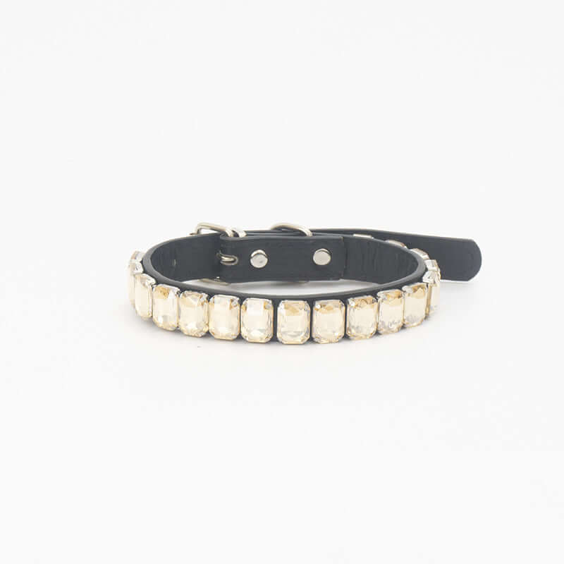 PU Dog Collar - Light gold / L - Dog collar