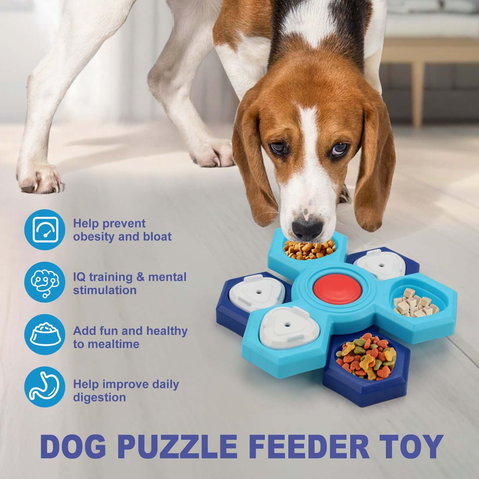 Slow Feeder for Dogs with 4 Layers - Blue - Dog toy
