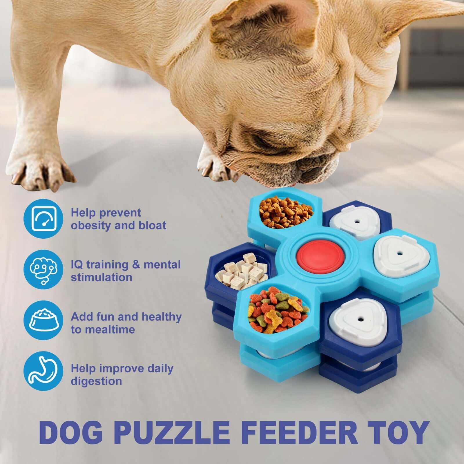 Slow Feeder for Dogs with 4 Layers - Blue - Dog toy