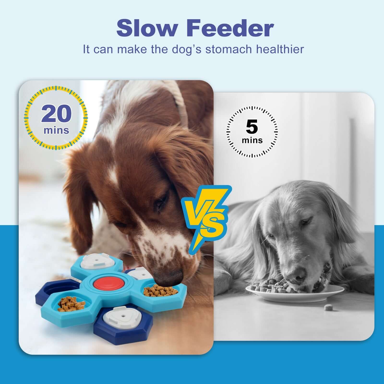 Slow Feeder for Dogs with 4 Layers - Blue - Dog toy